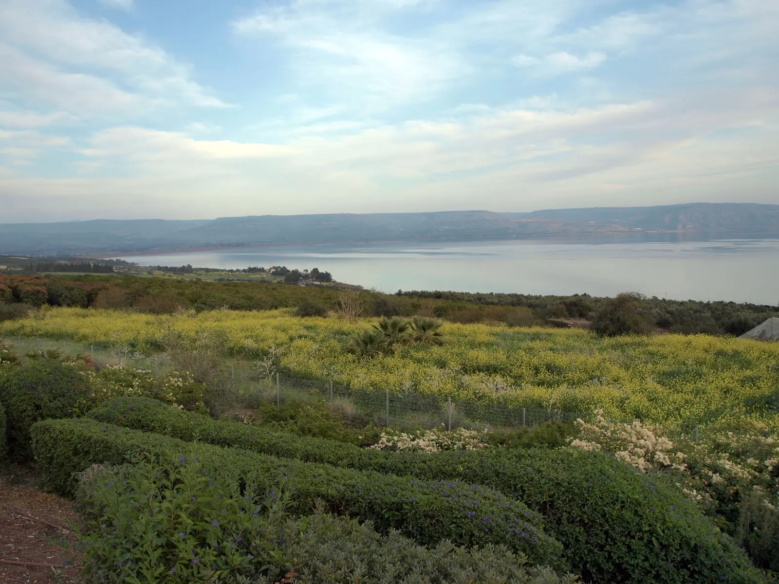 The Sea of Galilee seen from the Mount of the Beatitudes, green slopes and trees above the blue lake