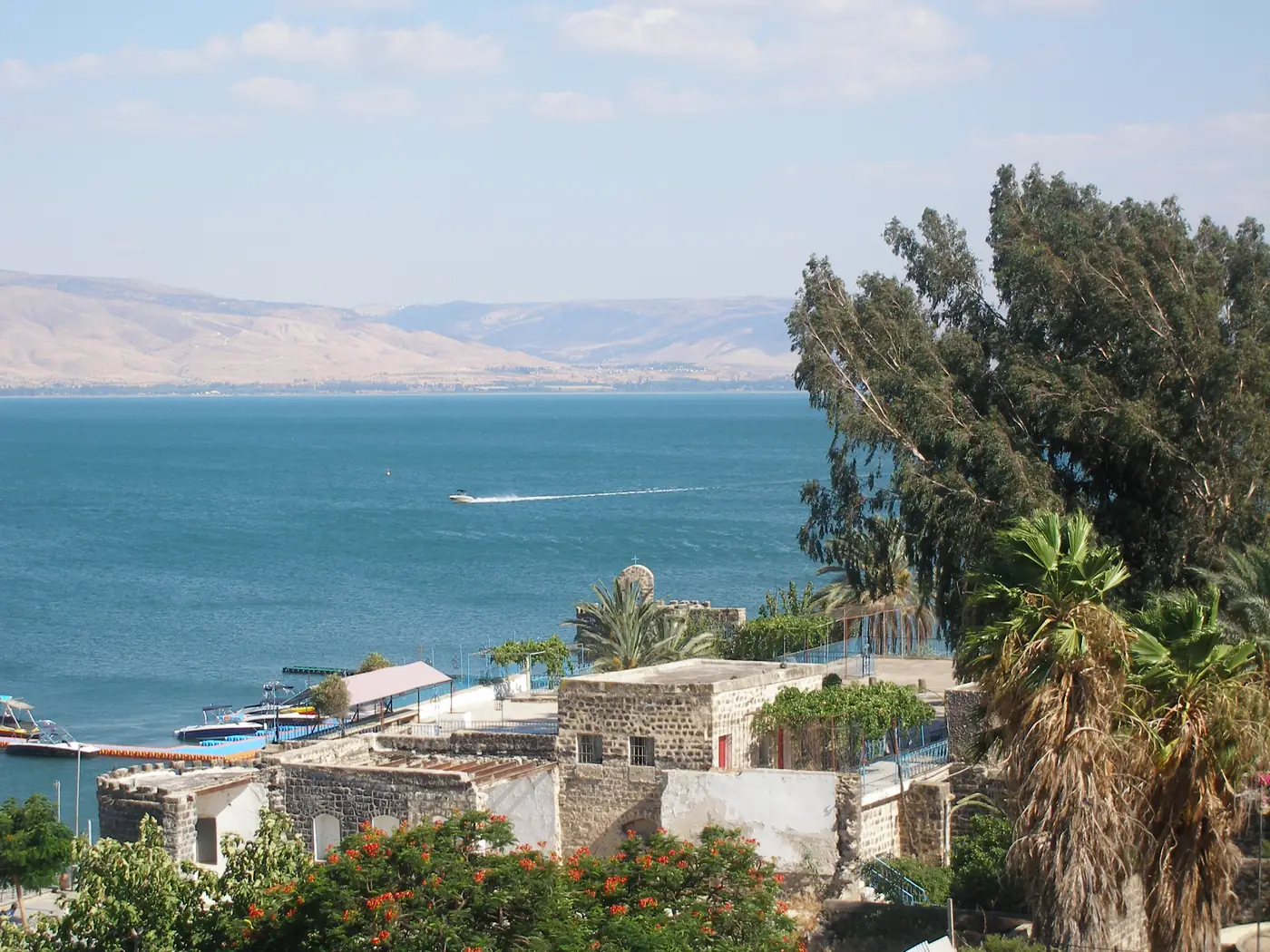 Palm trees and the calm water of the Sea of Galilee under a clear sky